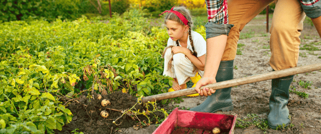 Agriculture